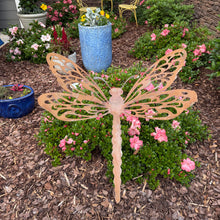Dragonfly Yard Art Installation